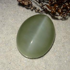 8.86克拉天然绿色Actinolite Cat's Eye，椭圆形切割，16.4×12.4毫米，半透明
