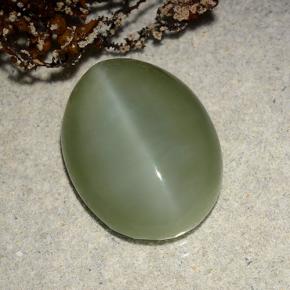 8.86克拉天然绿色Actinolite Cat's Eye，椭圆形切割，16.4×12.4毫米，半透明