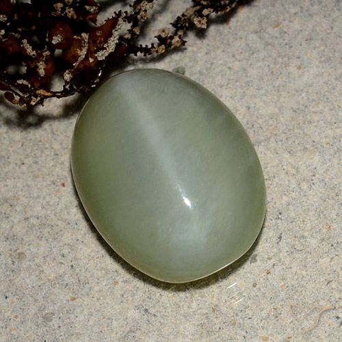 5.43ct 天然 棕绿色 阳起石猫眼, 椭圆形, 半透明