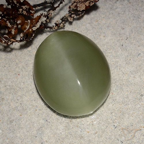 8.10ct 天然 棕绿色 阳起石猫眼, 椭圆形, 半透明