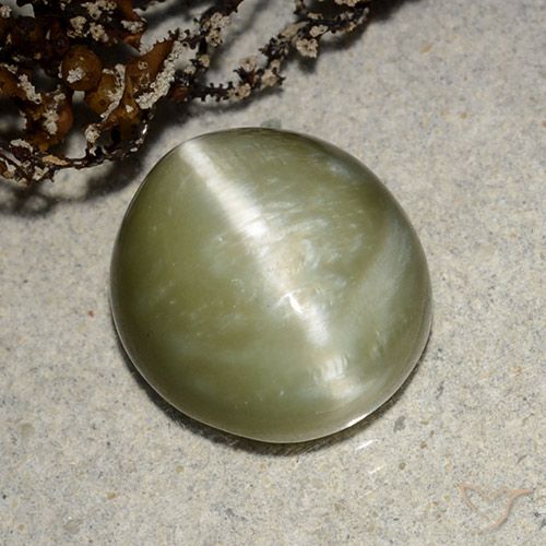 5.32ct 天然 黄绿色 阳起石猫眼, 椭圆形, 半透明