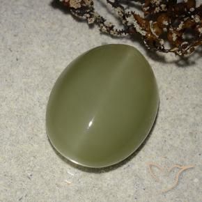8.14克拉天然阳起石猫眼，椭圆形，半透明