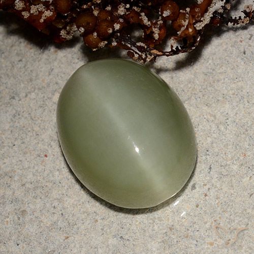 5.66ct 天然 大地绿 阳起石猫眼, 椭圆形, 半透明