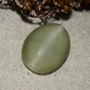 2.40克拉天然绿色Actinolite Cat's Eye，椭圆形切割，10.4×8.2毫米，半透明
