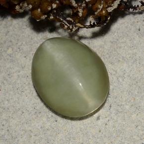 2.40克拉天然绿色Actinolite Cat's Eye，椭圆形切割，10.4×8.2毫米，半透明