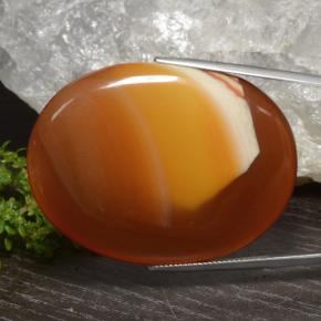81.88克拉天然多色玛瑙，椭圆形切割，45.4×34.1毫米，半透明