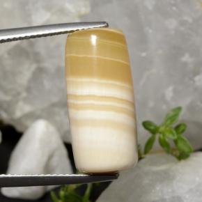 19.47克拉天然多色玛瑙，异形，20.6×9.7毫米，半透明