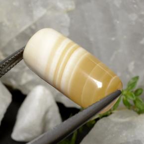 19.47克拉天然多色玛瑙，异形，20.6×9.7毫米，半透明