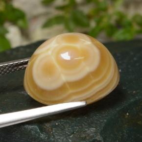 14.86克拉天然玛瑙，椭圆形切割，不透明