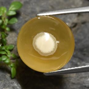 11.93克拉天然多色玛瑙，椭圆形切割，14.2×14毫米，半透明