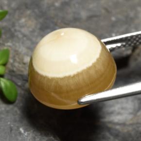 15.16克拉天然多色玛瑙，椭圆形切割，13.9×13.6毫米，半透明