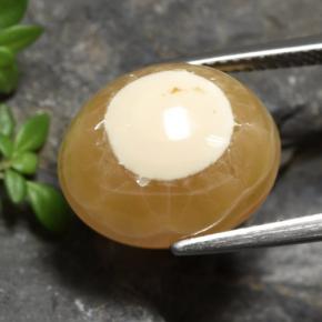 13.60克拉天然玛瑙，椭圆形切割，半透明