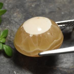 13.60克拉天然玛瑙，椭圆形切割，半透明