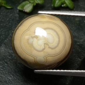 12.04克拉天然玛瑙，椭圆形切割，不透明