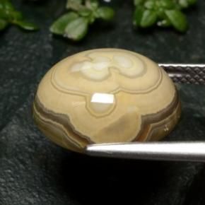 12.04克拉天然玛瑙，椭圆形切割，不透明