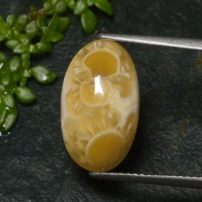 6.57克拉天然多色玛瑙，椭圆形切割，15.9×9.6毫米，半透明
