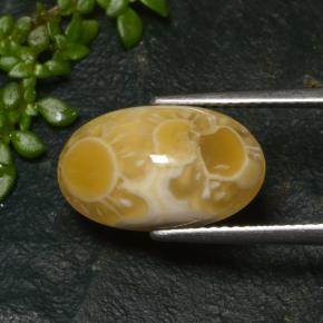 6.57克拉天然多色玛瑙，椭圆形切割，15.9×9.6毫米，半透明