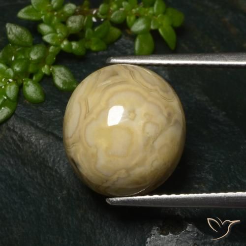 11.32克拉天然玛瑙，椭圆形，不透明