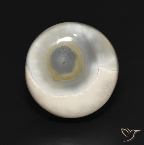 16.75ct 天然 多色白 玛瑙, 圆形的, 不透明