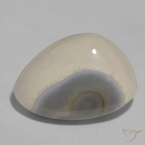 11.22ct 天然 White Cream 玛瑙, 花式切割, 不透明
