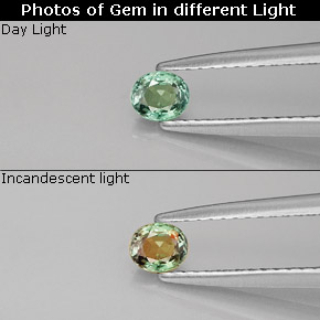 0.25克拉天然紫翠玉，椭圆形切割，VVS-VS