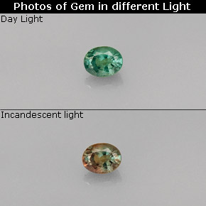 0.26克拉天然紫翠玉，椭圆形切割，VVS-VS