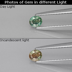 0.25克拉天然紫翠玉，椭圆形切割，VVS-VS