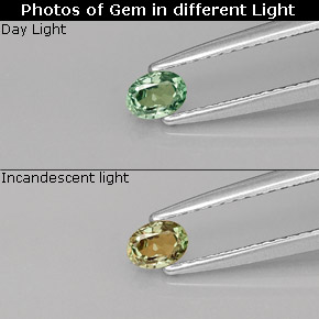 0.20克拉天然紫翠玉，椭圆形切割，VS