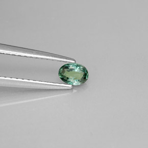 0.23克拉天然多色亚历山大石，椭圆形切割，4.5×3.2毫米，VS