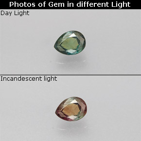 0.12克拉天然多色亚历山大石，梨形，3.3×2.5毫米，VS