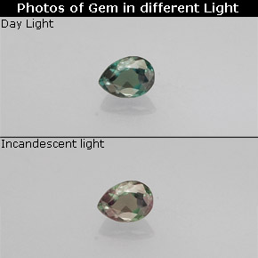 0.10克拉天然多色亚历山大石，梨形，3.1×2.3毫米，VS