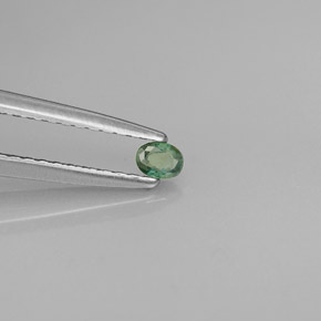 0.08克拉天然多色亚历山大石，椭圆形切割，2.9×2.2毫米，VS