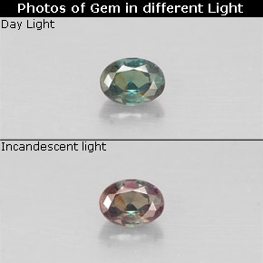 0.12克拉天然多色亚历山大石，椭圆形切割，3.3×2.5毫米，VS