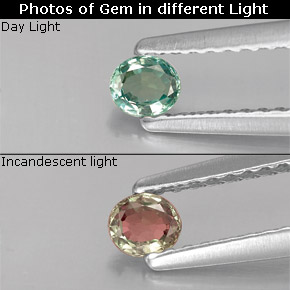 0.15克拉天然紫翠玉，椭圆形切割，VS