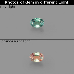 0.10克拉天然紫翠玉，椭圆形切割，VS