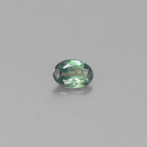 0.11克拉天然多色亚历山大石，椭圆形切割，3.6×2.5毫米，VS