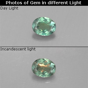 0.13克拉天然多色亚历山大石，椭圆形切割，3.5×2.7毫米，VS