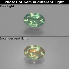 0.46克拉天然紫翠玉，椭圆形切割，VS