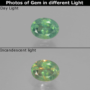 0.51克拉天然紫翠玉，椭圆形切割，VS