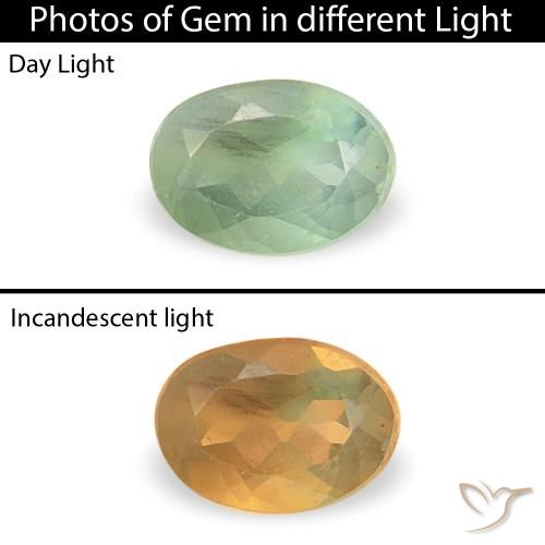 0.12ct 天然 鼠尾草绿 紫翠玉, 椭圆形, VVS-VS