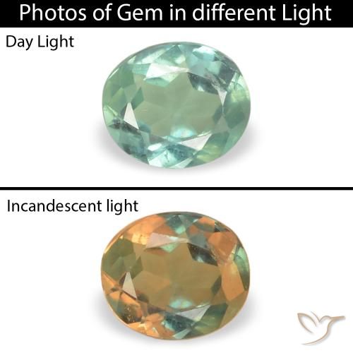 0.15ct 天然 浅海绿 紫翠玉, 椭圆形, VS