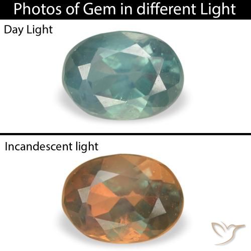 0.21ct 天然 中绿色 紫翠玉, 椭圆形, VS