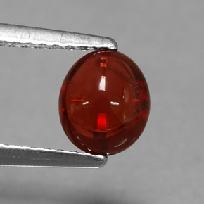 1.44克拉天然红色铁铝榴石，椭圆形切割，6.8×5.8毫米，半透明