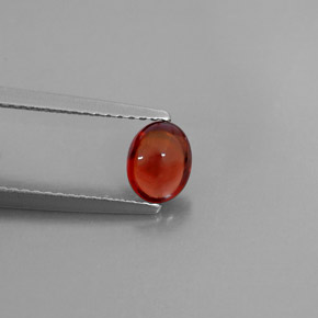0.90克拉天然红色铁铝榴石，透明，6.3×4.9毫米，透明/半透明