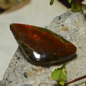 17.03克拉天然菊石，花式切割，不透明