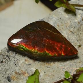 17.03克拉天然菊石，花式切割，不透明