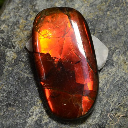 11.42克拉天然多色菊石宝石，异形，26×13.8毫米，不透明