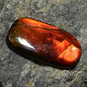 11.42克拉天然多色菊石宝石，异形，26×13.8毫米，不透明