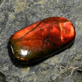 11.42克拉天然多色菊石宝石，异形，26×13.8毫米，不透明