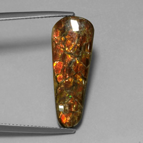 7.59克拉天然菊石，异形，不透明